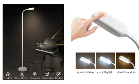 Rechargeable Type C FlexLamp 2 in 1 Desk and Floor Lamp with Adjustable Gooseneck Color Options and Touch Control