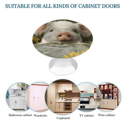 Round glass cabinet knob with stainless steel base featuring a pig design for wardrobes and cupboards.