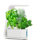Indoor garden with Gourmet Herb Seed Pod Kit for Indoor Garden Systems Non GMO Seeds No Pesticides Easy Germination Harvest Fresh Herbs