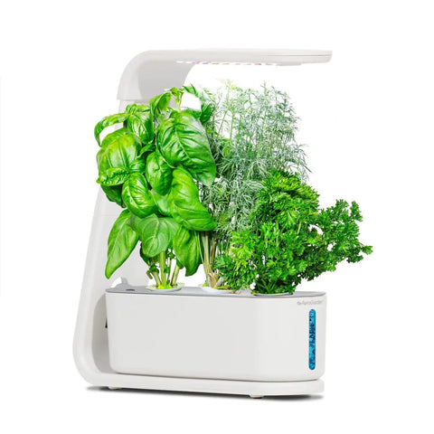Indoor garden with Gourmet Herb Seed Pod Kit for Indoor Garden Systems Non GMO Seeds No Pesticides Easy Germination Harvest Fresh Herbs