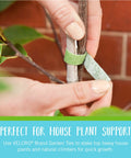 Adjustable Garden Plant Ties For Staking And Training Plants, 75 Feet Of Green Hook And Loop Tape in use on a branch