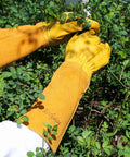 Thorn Proof Gardening Gloves For Men And Women With Thick Cowhide Leather Long Forearm Gauntlets Puncture Resistant Rose Pruning Gloves For Cacti And Blackberries Great For Yard Work Yellow X Large
