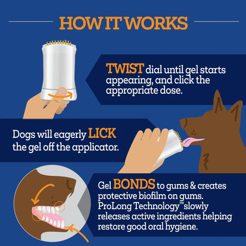 Infographic illustrating Dog Dental Gel That Cleans Teeth And Freshens Breath All Day For Your Pup With Peanut Butter Flavor 2 Oz 30 Day