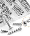 Workhorse Gauge 12 Wood Screws Assortment Kit, 54 Piece 304 Stainless Steel Phillips Countersunk Fasteners in a transparent case.