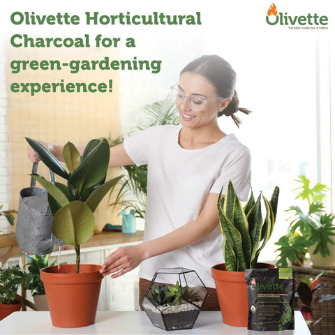 Woman using Premium Olive Derived Activated Charcoal For Plants Biochar Soil Booster for potted plants and terrariums