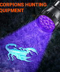 UV Blacklight Flashlight With 21 LEDs 395nm For Pet Urine Detection And Scorpion Hunting illuminating a scorpion