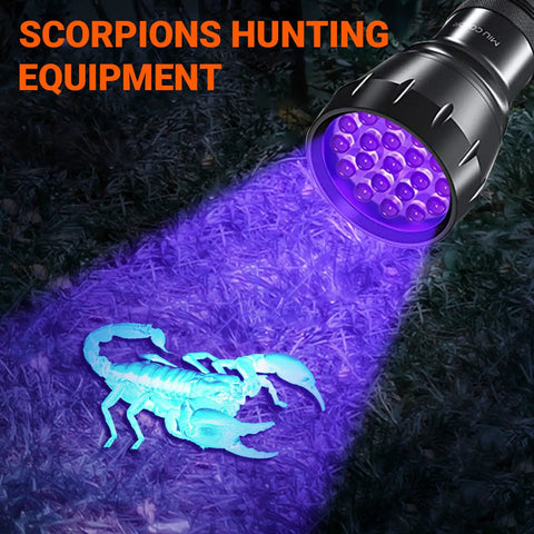 UV Blacklight Flashlight With 21 LEDs 395nm For Pet Urine Detection And Scorpion Hunting illuminating a scorpion