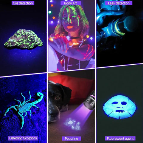 Collage showing Beast 12W 365nm UV flashlight uses: ore detection, body art, leak detection, scorpions, pet urine, fluorescent agent.