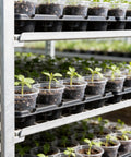 Two Pack 3 Inch Seed Starter Trays With Grow Lights And Humidity Domes, 40 Clear Nursery Pots, seedlings growing in trays