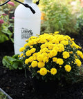 Two Gallon Lawn And Garden Sprayer With 34 Inch Anti Kink Hose near yellow flowers in garden bed