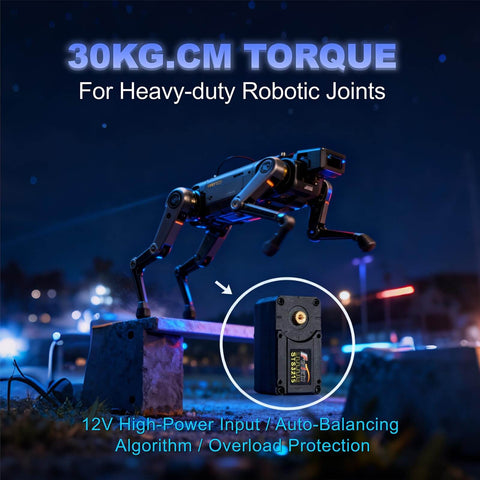 Two Pack Beefy 30Kg High Torque Serial Bus Servo Motor 12V for robotic joints showcasing torque capacity at night