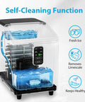 Countertop Ice Maker Delivers Bullet Ice In Minutes 26 Lbs Per Day Two Ice Sizes Portable Stainless Steel Machine With Basket And Scoop Auto Self Cleaning Grab And Go Ready For Home Kitchen Or Office with self-cleaning function visible.