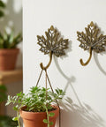 Legit Vintage Maple Leaf Wall Hooks Gold Finish Heavy Duty Decorative Rack Built Tough For Coats And Keys Straight Up Farmhouse Home Organization Two Pack with hanging plant