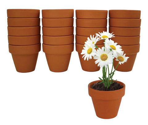 Bulk Daisy Planting Kit With 20 Genuine Terracotta 5cm Pots, Soil Pellets, And Seed Packets For Easy Planting, DIY Favors, Crafts