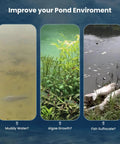 Comparison of pond environments before using Heavy Duty Pond Aerator With 5.2 CFM, showing muddy water, algae, and fish suffocation.