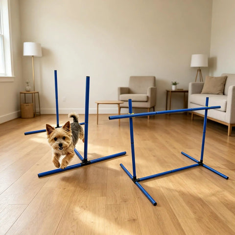 Versatile Adjustable Dog Agility Jump Set With Hurdles And Weave Poles 0 To 31 Inch Height in indoor setup with small dog jumping