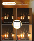 Smart Edison Bulbs 4 Pack WiFi LED E26 Edison Bulbs dimmable showcase at various brightness levels with app control image
