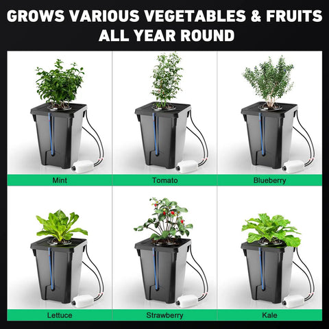 Two Buckets DWC Hydroponics Grow System With Top Drip Kit For 7 Gallon Deep Water Culture Includes Air Pump Air Stone And Hose