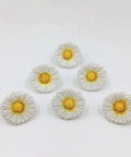 Daisy Design Vintage Resin Drawer Pulls And Cabinet Knobs Hand Painted White For Country Kitchen Cabinets Includes Two Screw Lengths Durable Hardware Pack Of 6