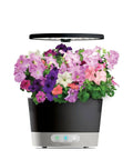 Petunia Cascading Seed Pod Kit For Indoor Hydroponic Garden, 6 Pod Pack with blooming flowers in a hydroponic system.