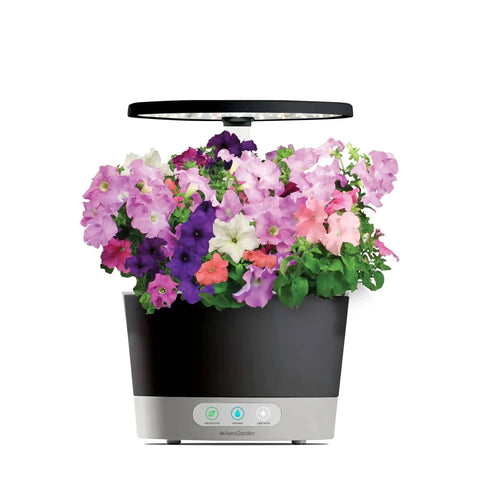 Petunia Cascading Seed Pod Kit For Indoor Hydroponic Garden, 6 Pod Pack with blooming flowers in a hydroponic system.