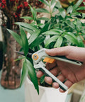 Garden Pruning Scissors For Precise Cuts With Sharp Stainless Steel Blade And Nonstick Teflon Coating used for trimming plants
