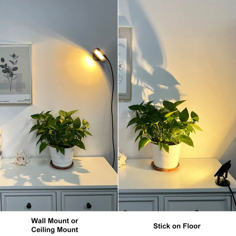 LED Spot Light Indoor 2 Pack With 120V Accent Uplight illuminating plants on wall and floor mount
