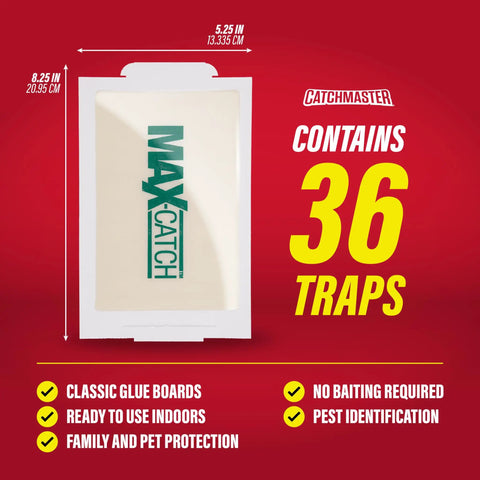 Heavy Duty Sticky Glue Traps For Indoor Home Use Straight Up Bug Slap Boards That Crush Mice Rats Roaches And Spiders Dead Fast 36 Pack