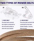 Diagram showing two types of mower belts including Aramid Deck Belt For 52 Inch Zero Turn Mowers From 21 To 30 HP with text explanation