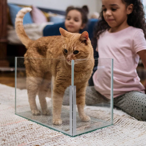 Two Piece Set Clear Acrylic Piano Hinge 300 Mm Long Continuous Hinge used in plexiglass display with cat inside, children observing