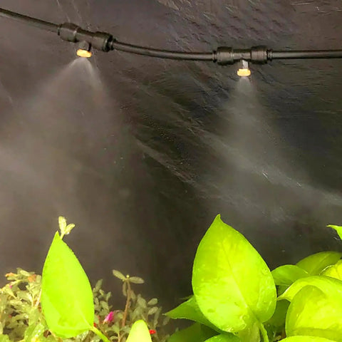 Brass Misting Nozzle Replacement Heads 0.2mm Orifice 10/24 UNC Outdoor Cooling System spraying mist over plants.