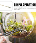 Stainless Steel Bonsai Rake And Tweezers Set For Potted Plants Pro Grade Gardening Tools For Loosening Soil And Shaping Bonsai on a terrarium