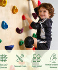 Child climbing colorful holds on wall from 32 Piece Rock Climbing Holds Set For Kids And Adults, Kid Friendly Colorful Plastic Wall Grips Kit