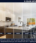 Sleek 5 Inch LED Recessed Lights Canless Mini Panel Downlights Featuring Killer Glow And Smooth White Trim Dead Simple Install For Tight Ceilings Dual Dimmable Triac And 0-10V Controls 5CCT Adjustable Color Temp Wet Rated 12 Pack displaying 5 color temperature options in a kitchen setting.