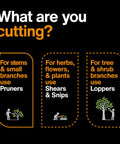 Infographic on cutting tools for garden work; pruners for stems, shears for herbs, loppers for trees, "What are you cutting?" shown.
