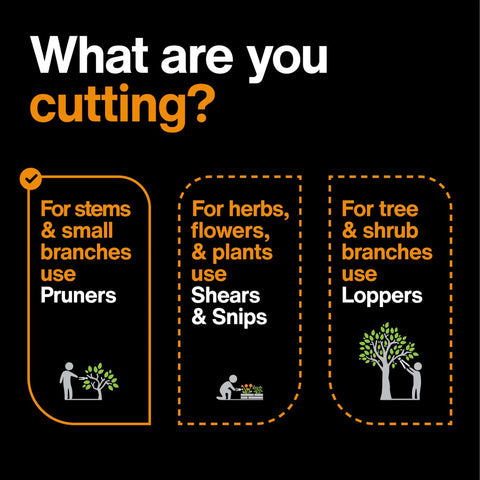 Infographic on cutting tools for garden work; pruners for stems, shears for herbs, loppers for trees, "What are you cutting?" shown.