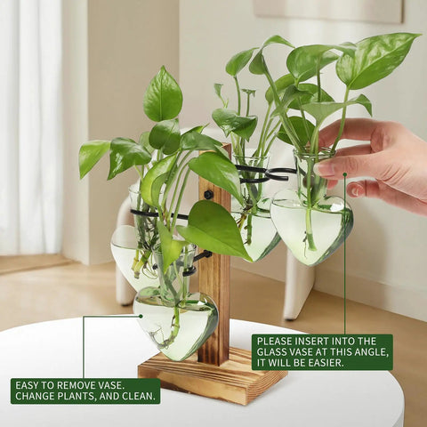 Colorful Glass Plant Terrarium Propagation Stations with Wooden Stand Glass Vase for Indoor Hydroponics Home Garden