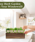 Indoor Herb Garden Starter Kit With Wooden Box Planter Includes Basil Parsley Rosemary Thyme Mint Seeds on windowsill