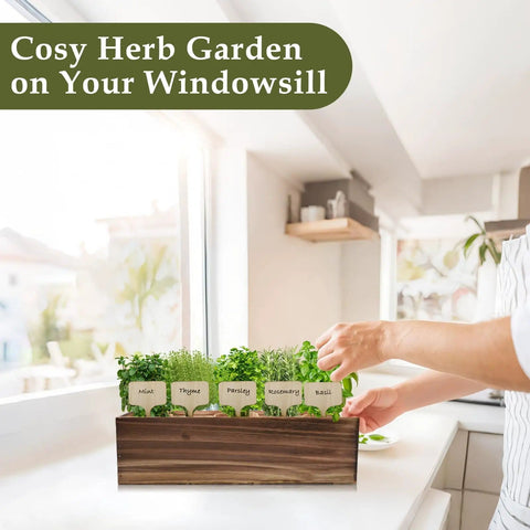 Indoor Herb Garden Starter Kit With Wooden Box Planter Includes Basil Parsley Rosemary Thyme Mint Seeds on windowsill