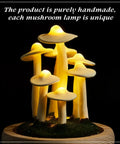 Mushroom Night Light In Glass Dome LED Decor With Wooden Base For Home Decor Gifts Dope Way To Spruce Up Weddings Birthdays Parties Valentines Day And Cozy Night Ambiance