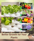 Hydroponic Plant Growing System For Home Gardens 36 Site Indoor Vertical Garden Tower with lettuce and growth possibilities chart