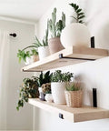 Built Tough 4 Pack Heavy Duty Shelf Brackets 12 Inch Black Iron J Braces for Floating Shelves holding potted plants on wooden shelves.