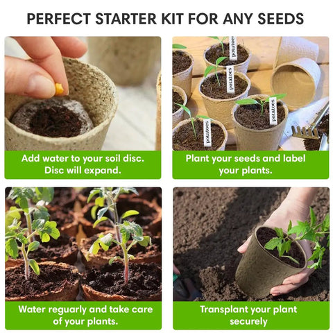 All In One Seedling Starter Kit With Biodegradable Peat Pots Coco Coir Soil Discs And Plant Markers For Easy Seed Germination Indoors Or Outdoors 10 Pack No Transplant Shock Organic Grow Kit, showing seedling stages from planting to transplanting.