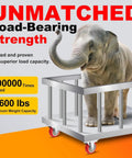 Elephant on platform showcasing Four Inch Caster Wheels Set Of Four Beefy Heavy Duty Swivel Casters with 2600 lbs load capacity