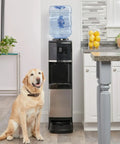 Top Loading Water Dispenser With Hot And Cold Water, 5 Gallon Bottle Compatible, Pet Drinking Station in kitchen with a dog.