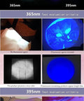 Comparison of 365Nm And 395Nm Ultraviolet Flashlight for detecting dog urine and pet stains, highlighting different effects on surfaces.