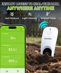 All In One App Remote Monitoring WiFi Soil Meter For Plants With Moisture Temperature And Light Sensors IP66 Waterproof Wireless Sensor For Indoor And Outdoor Use Custom Alerts Hub Required shown in garden with smartphone app