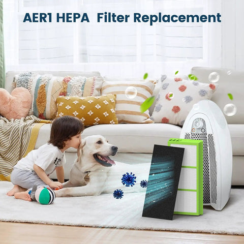 4 True HEPA Filters and 8 Carbon Booster PreFilters Replacement Kit For Aer1 Ready Holmes Air Purifiers on living room floor