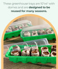 No Mess Indoor Garden Starter Kit with Mini Greenhouse Humidity Dome and 3-Pack Reusable Seedling Trays 30-Cell on table