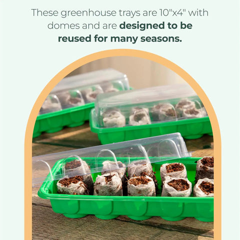 No Mess Indoor Garden Starter Kit with Mini Greenhouse Humidity Dome and 3-Pack Reusable Seedling Trays 30-Cell on table
